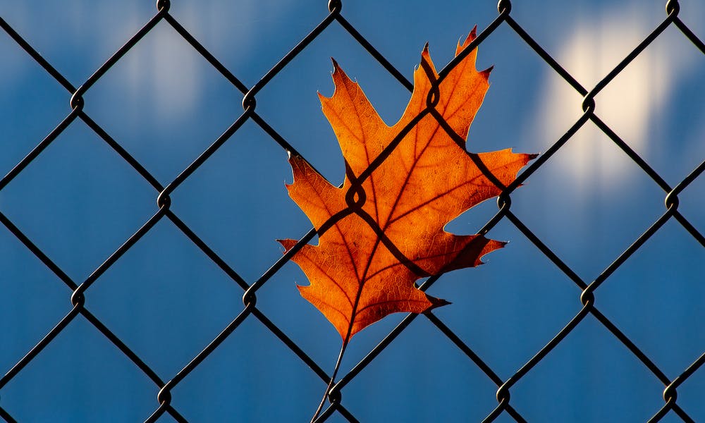 Fence
