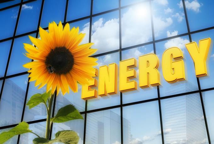 BFAWU offer free online environmental course