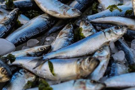 Agricultural and fishing trades n.e.c.
