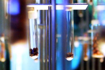 Biological scientists and biochemists