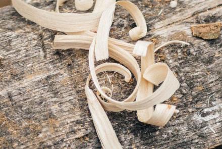 Carpenters and joiners