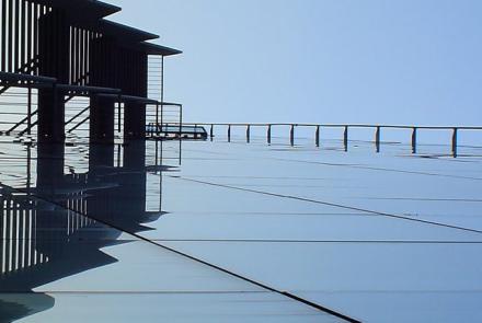 Chartered surveyors