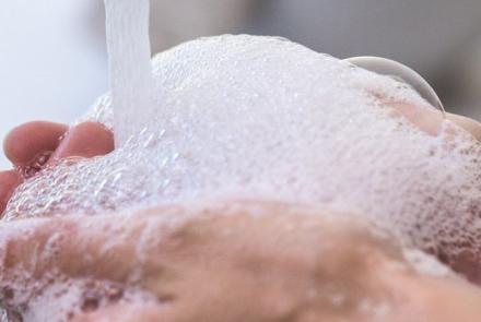 Cleaners and domestics