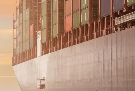 Importers and exporters