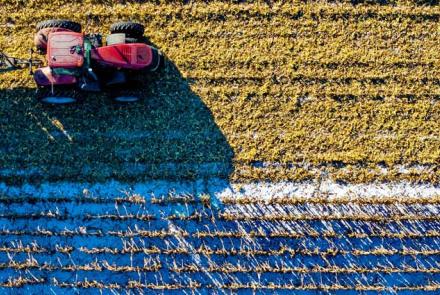 Managers and proprietors in agriculture and horticulture