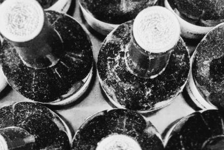 Packers, bottlers, canners and fillers