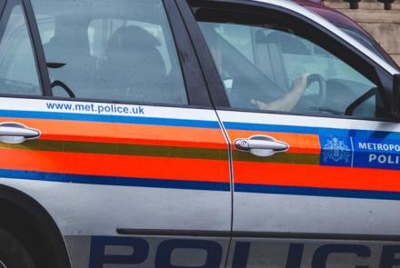 Police officers (sergeant and below)