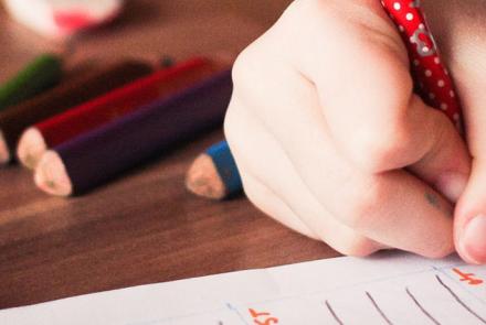 Primary and nursery education teaching professionals