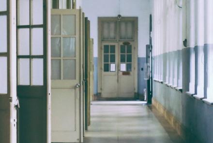 Senior professionals of educational establishments