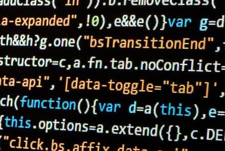 Programmers and software development professionals